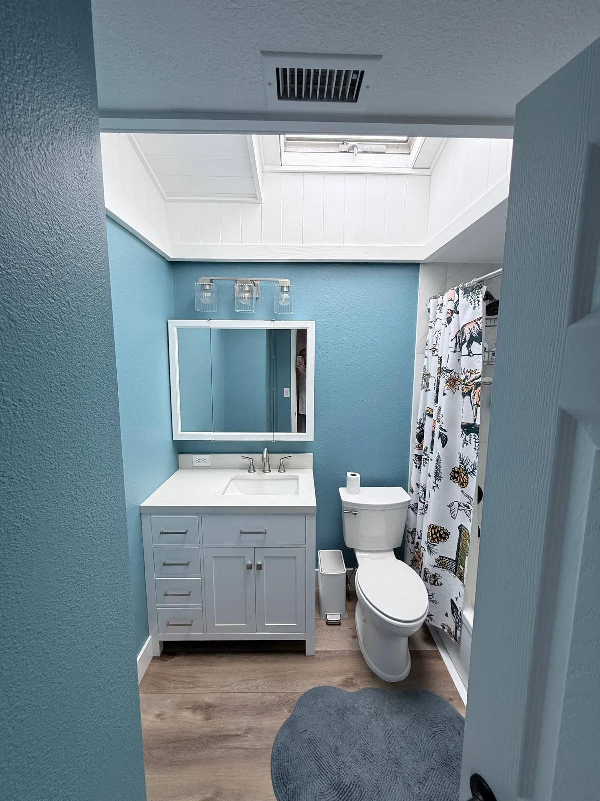 Bathroom Repaint & Trim