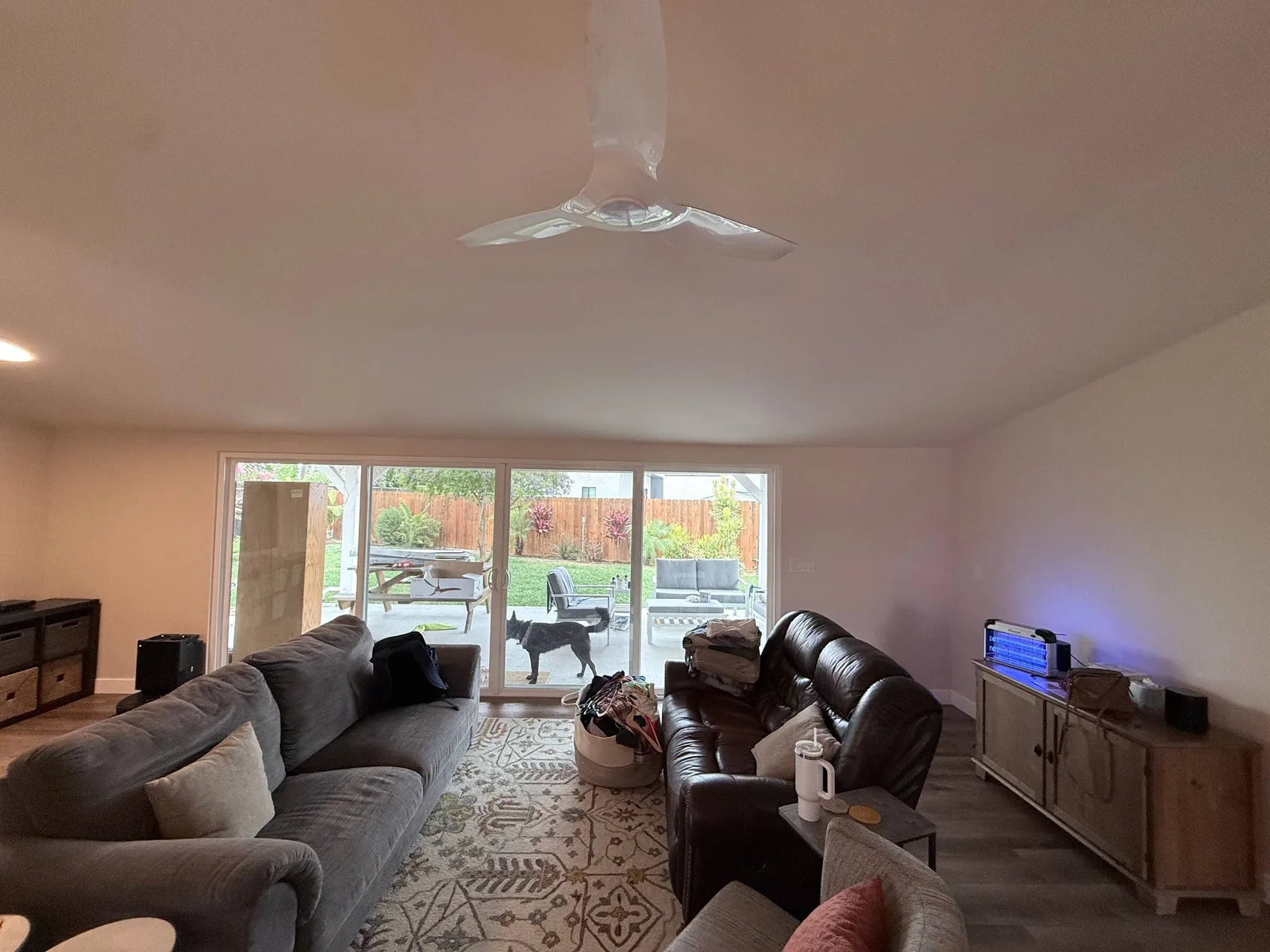Living Room Interior Painting