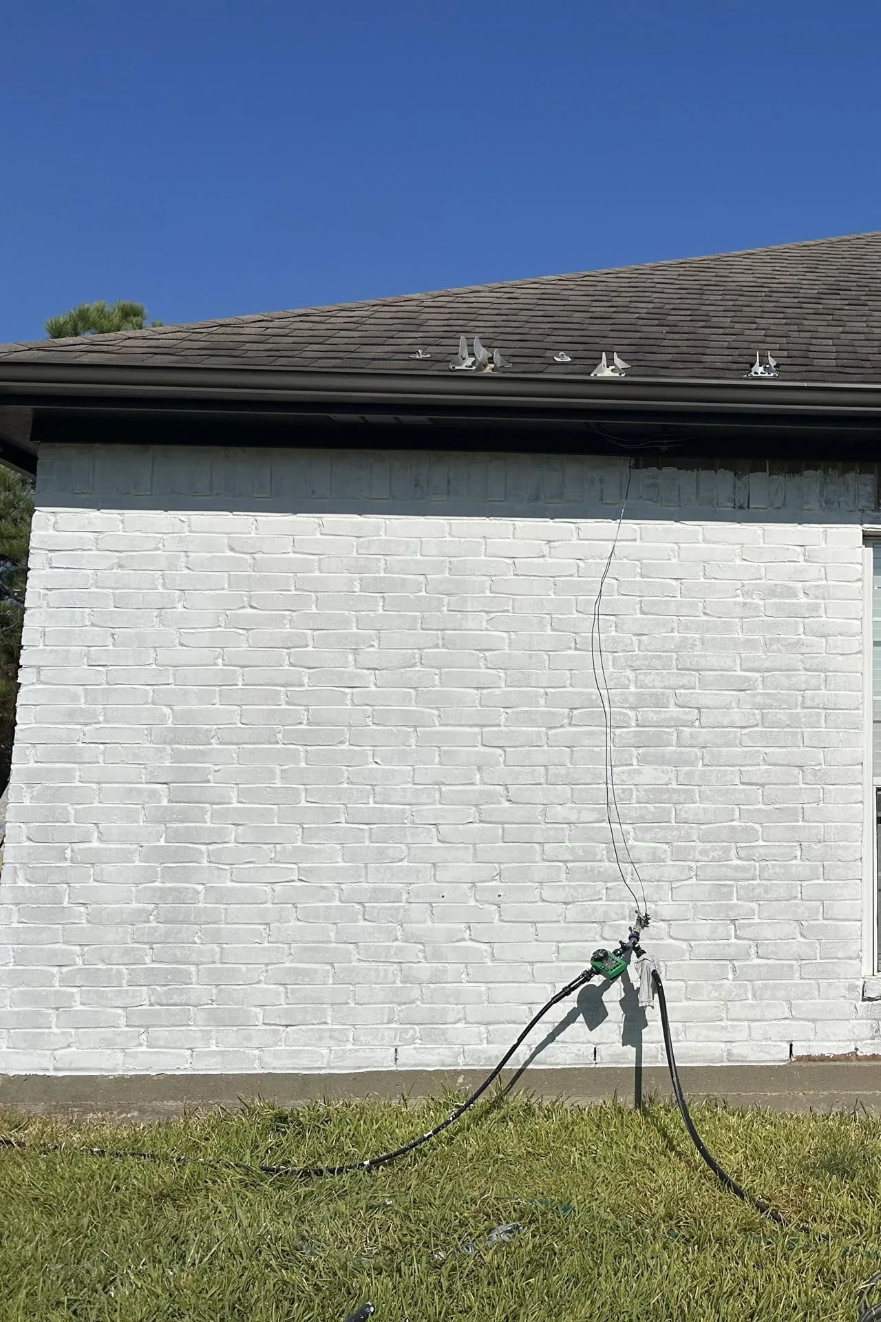 Limewash Painting San Diego — Ross Painting Group San Diego