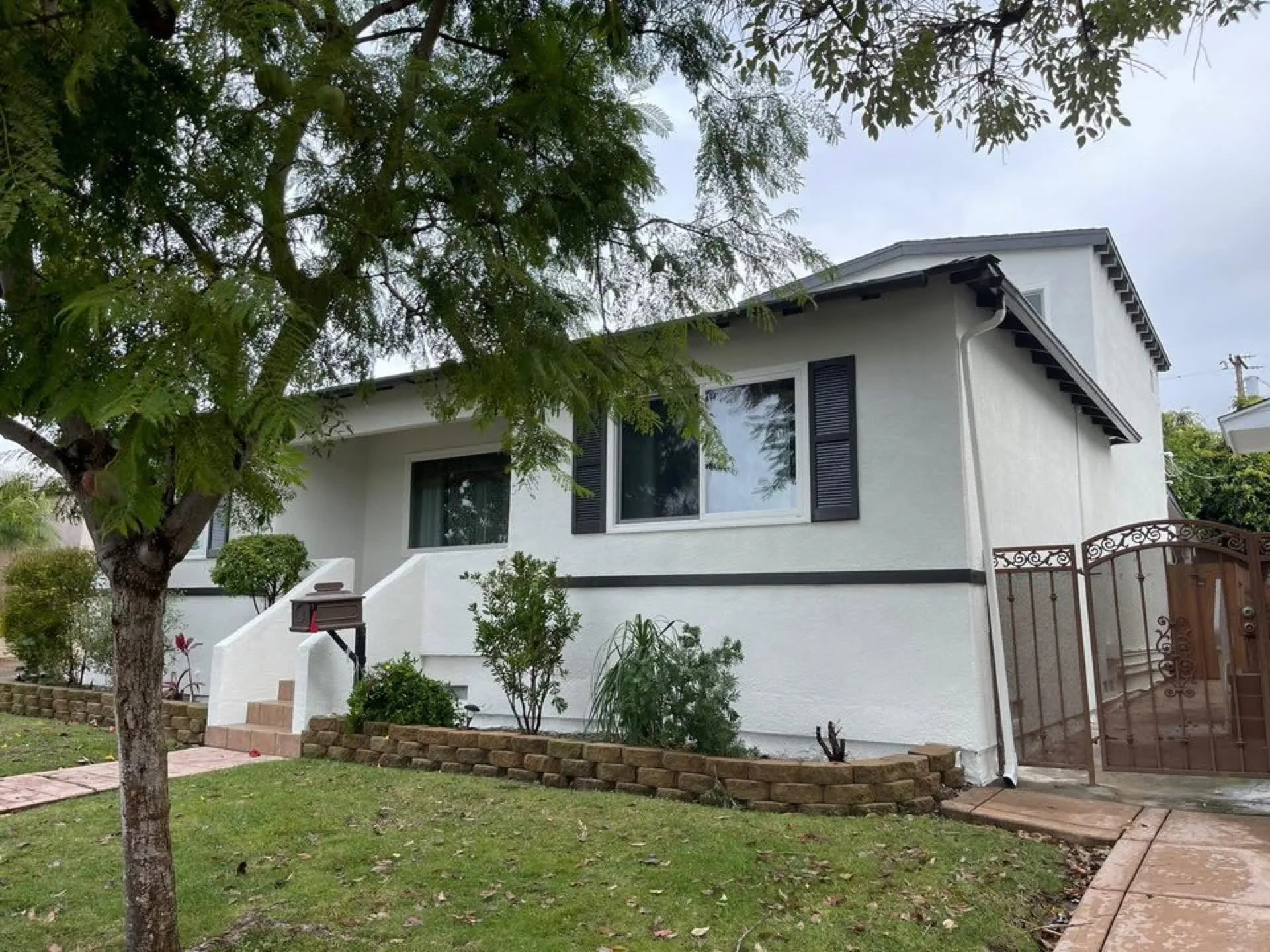 interior designer holding high-end paint swatches against a sunny window in a beach house