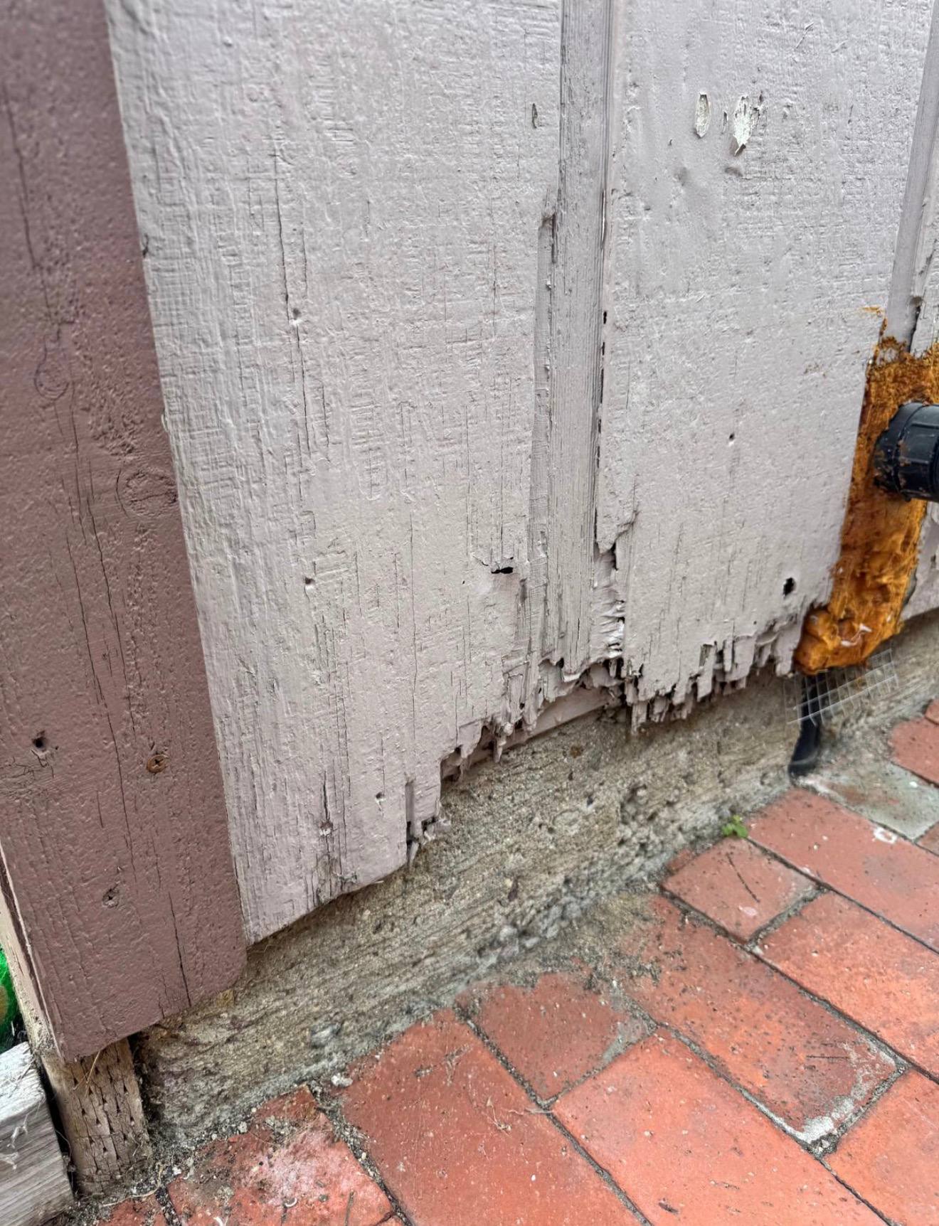 Close-up of severe wood rot at base of siding — boards peeling, disintegrating